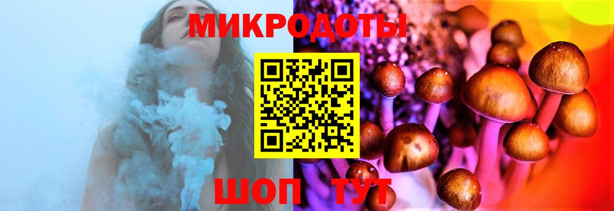 Псилоцибиновые грибы Magic Shrooms  Вход с VPN  Междуреченск  Галлюциногенные грибы Cubensis 